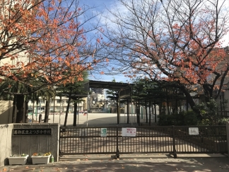 区立よつぎ小学校